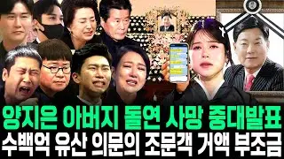 양지은 아버지 돌연사망 중대발표 수백억 유산 의문의 조문객 거액 부조금