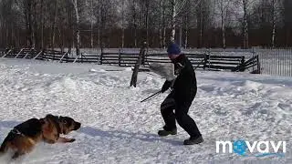УДП"НОВОТОР"