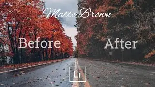 Tutorial Edit Photo Preset Matte Brown | Lightroom Mobile Tutorial