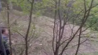гоним в гору