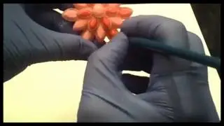 How to sparkle up your gumpaste brooches
