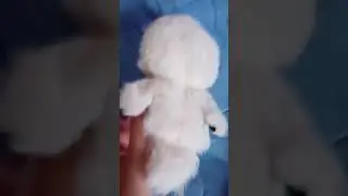 10 серия 2 сезон глупий шпиц