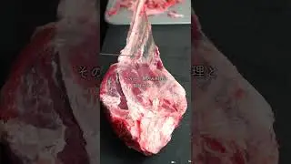 黒毛和牛のハバキを磨きました♪ 
