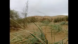 Сарыкумский бархан