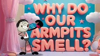 Why do out Armpits Smell? | 