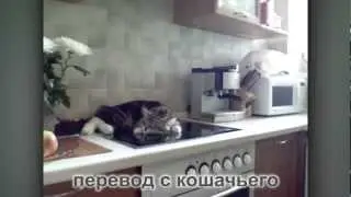 This is хорошо 96 выпуск