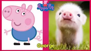 Peppa Pig Characters in Real Life 2022.Funny Peppa Pig.