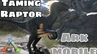How to tame raptor|| Raptor taming || ark mobile || solo series