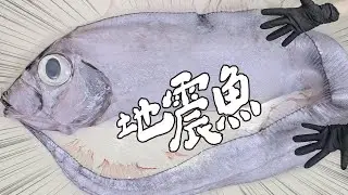 比人高的地震魚是什麼味道 ? 開箱海底的龍王並料理它！｜RICOの食材圖鑑