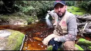 Aventura en Palestina: Reserva el Encanto, CUEVAS de los GUACHAROS ( Espeleologia )