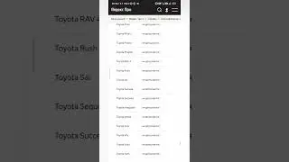 Молодой китаец сделал старую японку