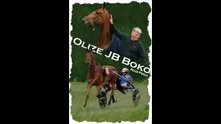 Olize JB Boko