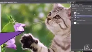 Photoshop. Letter 1.
