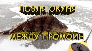 ЗИМНЯЯ РЫБАЛКА. ЭКСТРЕМАЛЬНАЯ ЛОВЛЯ ОКУНЯ МЕЖДУ ПРОМОИН.ловля на безмотылку.окунь зимой.
