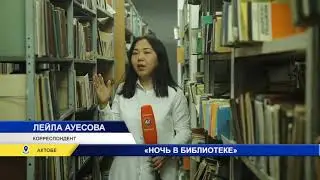 Ночь в библиотеке