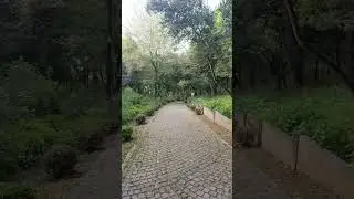 Fethipaşa Korusu