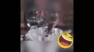 Ещё один способ использования зерен кофе для бодрости по утрам, прикол, smile)))