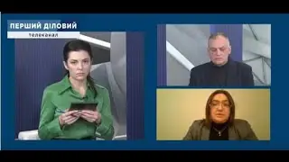 Геннадій Ричка та Вероніка Мовчан про зону вільної торгівлі між Україною та Туреччиною