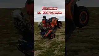 CF M0TO так не может, только с толстым пассажиром #квадроцикл #sharmax1100 #cfmoto #offroad #atv