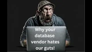 Why Database Vendors Hate Our Guts