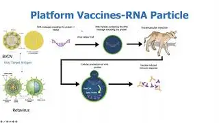 New Vaccine Technologies  An Addition to Our Animal Health Toolbox