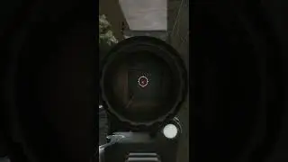 Баг на Берегу / Escape from Tarkov