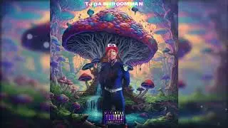 TJ Da Shroomman X Super Nintendo