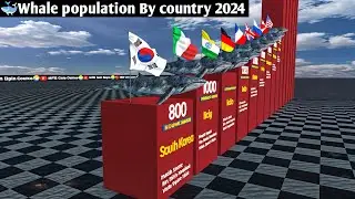 Whale population by country 2024|🐳🐋 Population|3D Comparison