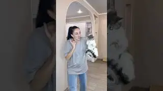 PORR CAT 🥹