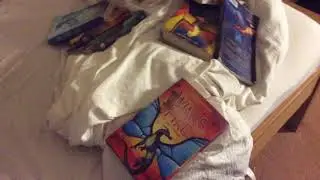 Wings Of Fire Book 11!