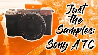 Just the Samples: Sony A7C