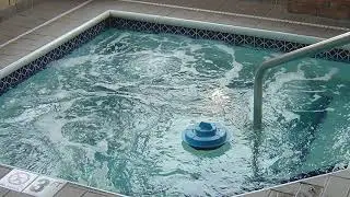 10 Best Pool Alarm  2020 Reviews