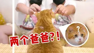 请男朋友的“双胞胎”弟弟来假扮他，猫咪会认出来吗？｜花花与三猫 Cat Live