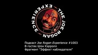 Подкаст Джо Рогана: Шон Кэрролл, эффект наблюдателя