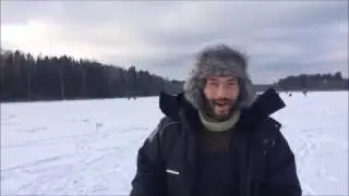 2 ноября 2016 года Дыбки