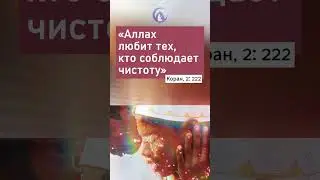 Соблюдает чистоту.... /  #коран  #аят #чистота