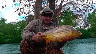САЗАНЫ,СОМЫ И КАРАСИ !!! ТЁПЛЫЙ КАНАЛ !!!