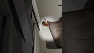 All Cursed Item Locations On 6 Tanglewood Drive Phasmophobia