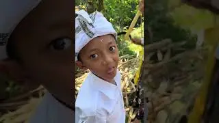 When everything is not ready, harvesting sugar cane is my ninja way 