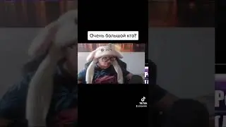 #neverlove #братишкин #реакция уже на канале ALJEX