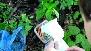 Геокэшинг Курская магнитная аномалия
