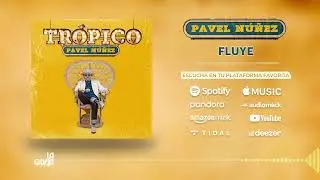 FLUYE - @pavelnunezoficial