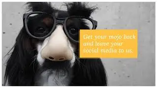 Social media marketing - get your mojo back