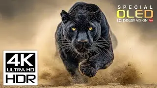 Unbelievable Video 4K HDR ULTRA HD 120 fps | Dolby Vision (8K/4K Video TV)