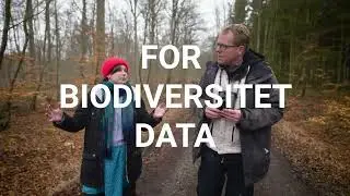 Lær naturen at kende med appen Arter - i skoven med Cecilie