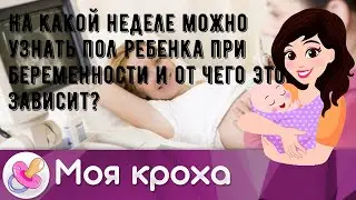 На какой неделе можно узнать пол ребенка при беременности и от чего это зависит?