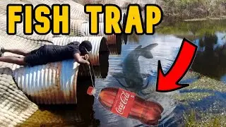 2 Liter Fish Trap DIY Challenge!