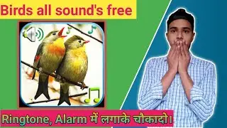 पक्षी का आवाज रिंगटोन अलार्म में लगाएं|| birds all sound free||pakshi ka awaaz||birds sound| animals