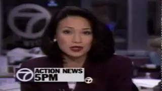 WXYZ-TV: Channel 7 Action News 5pm--- 1995