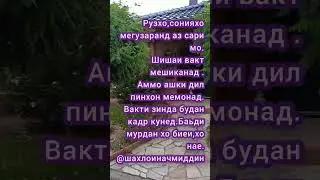 баьди мурдан хо биеи хо наеи